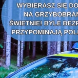 zdjecie